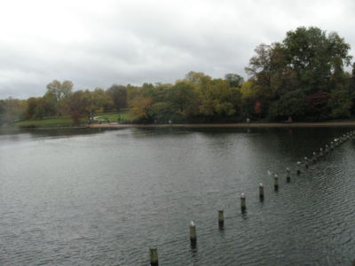 Vista Laguna Hyde Park Londres Inglaterra