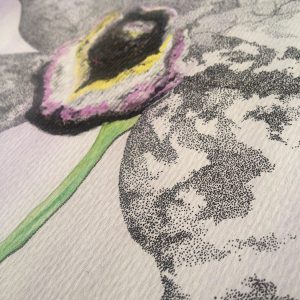 Póster Orquídea Negra - Imagen 3